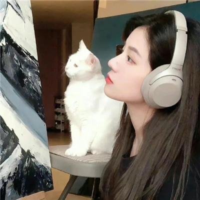 翼龙